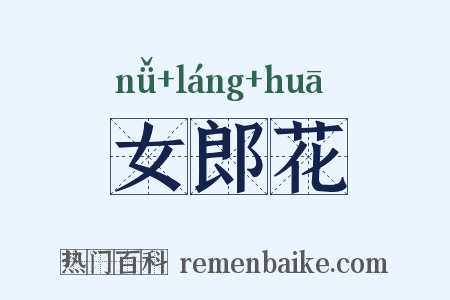 女郎花是什么意思的图片